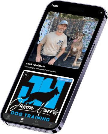 Jason Harris Dog Training Port Macquarie