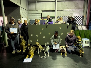 Jason Harris Dog Training Port Macquarie