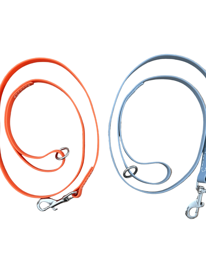 Jason Harris Dog Training Port Macquarie