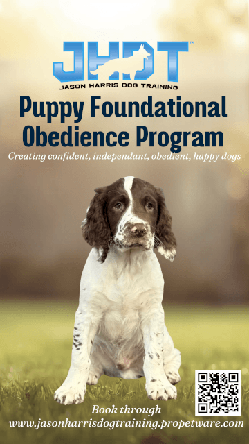 Jason Harris Dog Training Port Macquarie