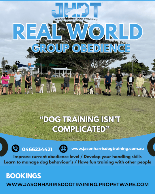 Jason Harris Dog Training Port Macquarie