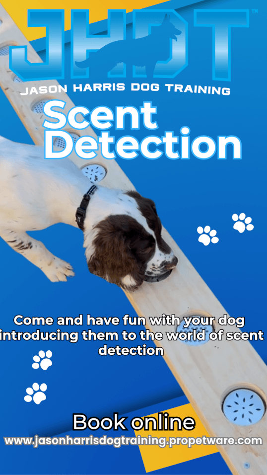 Jason Harris Dog Training Port Macquarie