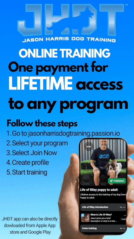 Jason Harris Dog Training Port Macquarie